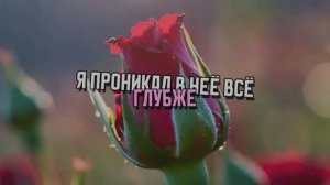 Я ПРОНИКАЛ В НЕЁ ВСЁ ГЛУБЖЕ