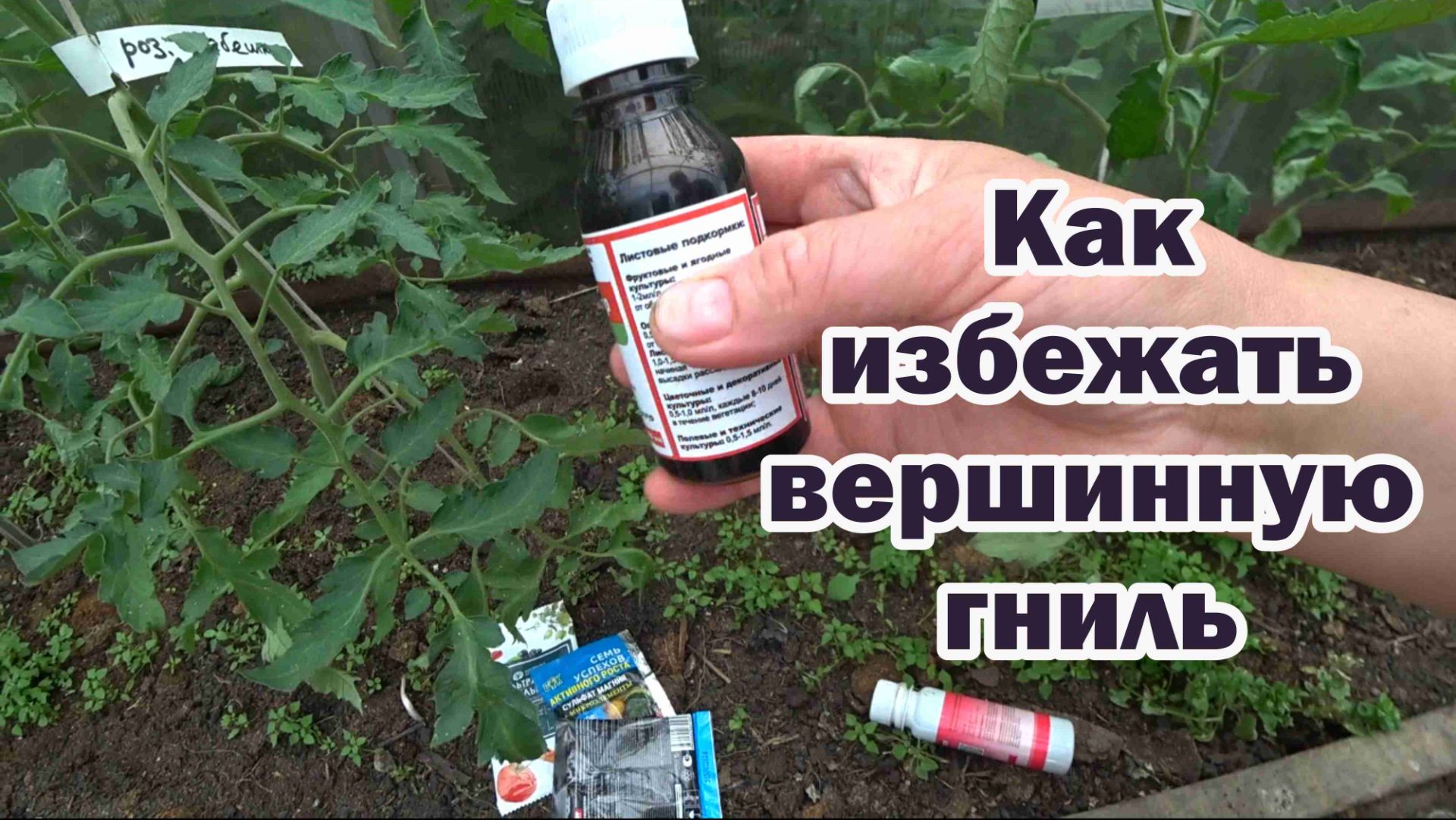 Возможно ли избежать вершинную гниль?