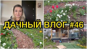 🏡 ДАЧНЫЙ ВЛОГ #46: ТЕРРАСА ВО ВСЕЙ КРАСЕ / ПЛАНЫ НА СТРОИТЕЛЬСТВО И РЕМОНТ ДАЧИ / ПЕРВЫЕ ЦВЕТЫ 🌹