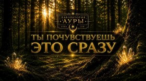 Сила, которая ждёт тебя за порогом дома - сила леса: как деревья исполняют желания #энергия #аура