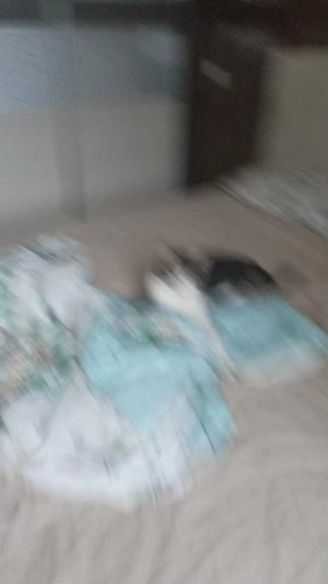 кот взбесился 🐱