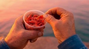 Рыбалка по одесски или как ловить бычка