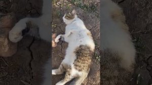 Жизнь-удалась!👍🔥🥰😁