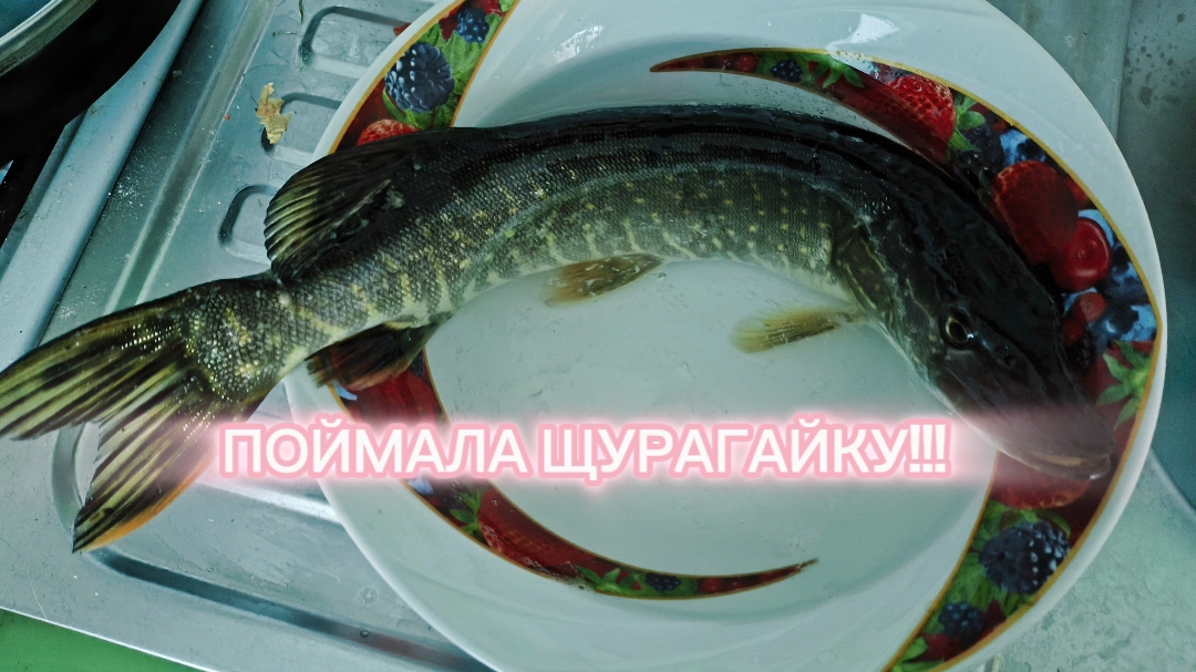 Речной кайф 😌