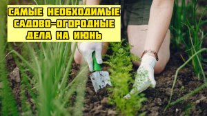 Сад, огород, цветник в ИЮНЕ. Что необходимо сделать!
