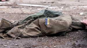 Белоусов сообщил о серьезных потерях ВСУ в Запорожской области