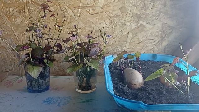 и снова дождь... смотреть онлайн