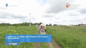 В г. о. Клин продолжается обработка земель от борщевика_1_1