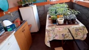 Расхламление летней кухни