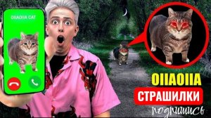 НИКОГДА НЕ ЗВОНИ OIIAOIIA CAT в 3:00 ночи! СТРАШИЛКИ
