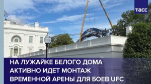 На лужайке Белого дома активно идет монтаж временной арены для боев UFC