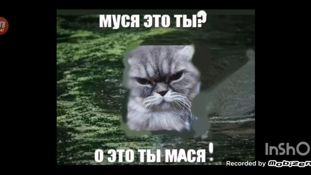 реакция на вову вова- крутой я на него подписан смотреть онлайн