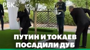 Путин и Токаев посадили дуб на Аллее дружбы России и Казахстана в Астане