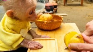 Жизнь маленькой обезьянки 9 часть🐵🐒