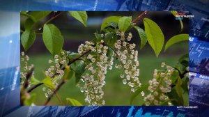 Что строго запрещается делать 29 мая, чтобы беды обошли стороной