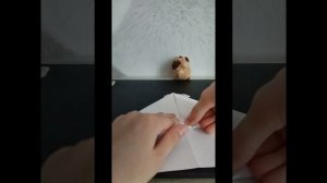 как сделалать самолет✈️