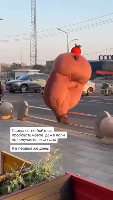 Курва бобр не догнал утку смотреть онлайн