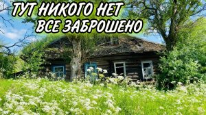 ЗАБРОШЕННАЯ ДЕРЕВНЯ: ИССЛЕДОВАНИЕ ОСТАТКОВ ПРОШЛОГО