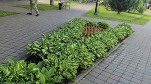 Съездила на рынок.Покупки./Беларусь.Svetlana//