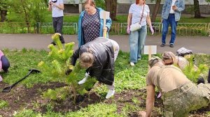 В СОСНАХ ШЕПЧЕТ ХРОНИКА ГЕРОЯ