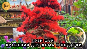 ФЕН ШУЙ🥰  УКРАШЕНИЯ ДЛЯ ДОМА И ПОДАРКИ😍 ТК Южные Ворота. Москва