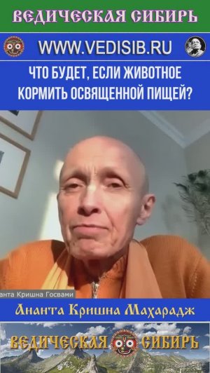 Что будет, если животное кормить освященной пищей?