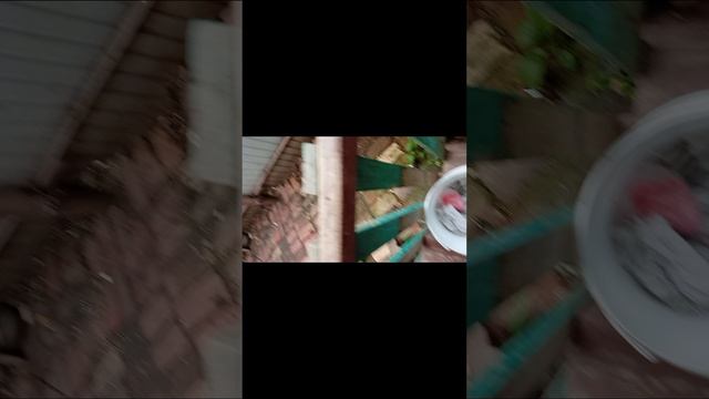 1591.mp4 смотреть онлайн
