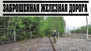 Заброшенная железная дорога Зеленогорск-Решетниково и наше очередное путешествие в историю.