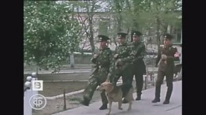О_работе_советских_пограничников_на_Дальнем_Востоке