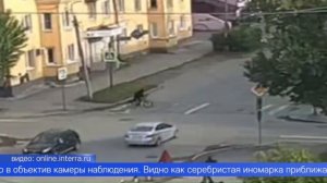 Автовладелец и велосипедист не поделили дорогу на улице Чкалова