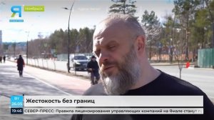В Ноябрьске школьницу обвинили в издевательствах над котёнком