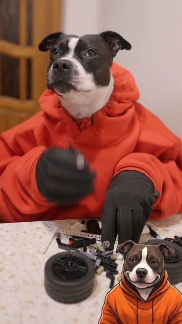 Труд сам по себе есть наслаждение 🐕🦺✨