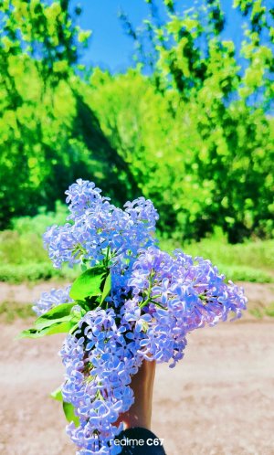 каникулы ура