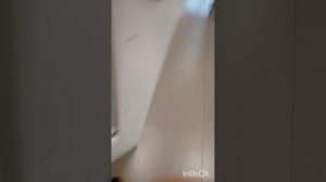 Пока школа 26 мая..... 4 класс через 3 месяца