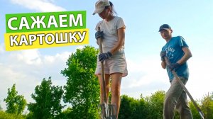 Сорвались срочно в деревню! Посадили картошку.