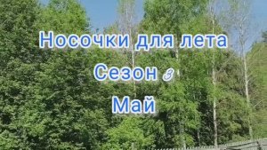 Носочки для лета. Сезон 3. Май