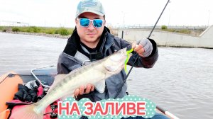 РЫБАЛКА В ФИНСКОМ ЗАЛИВЕ С ЛОДКИ🔥🔥🔥  #СПИННИНГ