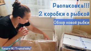 Распаковка с морскими рыбками. Большой заказ- 2 коробки. Перевожу рыбок в аквариум)