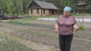 КОГДА ВСЁ ОСТАЛЬНОЕ ПОДОЖДЁТ ГЛАВНАЯ И НЕОТЛОЖНАЯ ЗАДАЧА НА ХУТОРЕ В ЛЕСУ