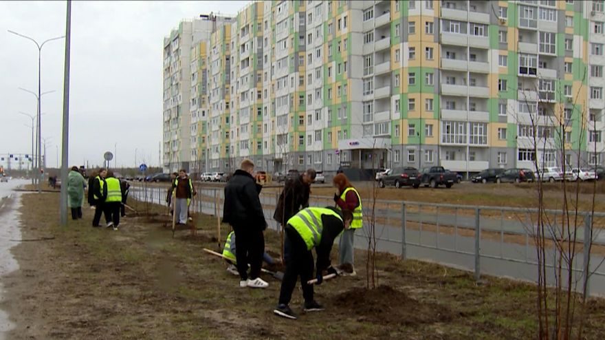 Экоакция «Спасти и сохранить» в Нижневартовске стартовала с субботника и высадки деревьев