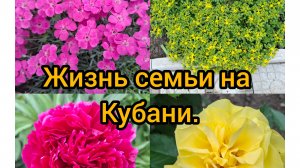 26.05.26/ Живём и работаем на Кубани/ Линейка в школе/ Садовые дела/ Ремонт машины/ Переезд на юг/