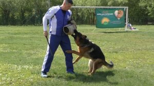ПЕТИ ЛЕВР ФУРБО