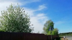 Поездка в Николо-Берёзовку должно быть на ярмарку