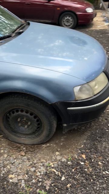 Пассат голубой смотреть онлайн