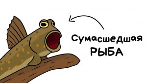 Ты - Илистый Прыгун (И ЭТО ВСЯ ТВОЯ ЖИЗНЬ)