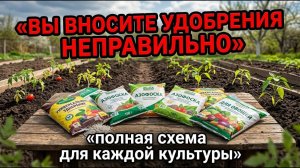 После этого видео вы перестанете тратить деньги на удобрения впустую