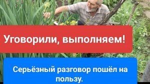 После урагана. Обход хозяйства. Всё растёт, а трава нагло прёт.