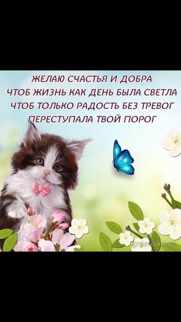 Screenrecorder-2026-05-29-00-13-34-695.mp4 смотреть онлайн