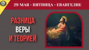 Почему знание догматов не имеет смысла без жертвенной любви к ближнему I 29 мая