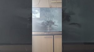 Авария на реальных событиях 1